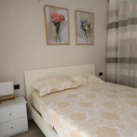 Small Near The Olimpik Park * Tirana