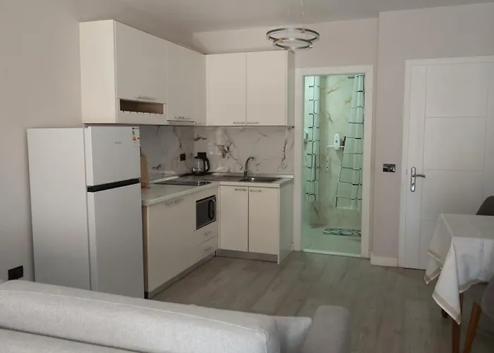 Appartement Small Near The Olimpik Park *