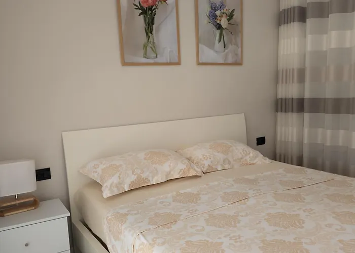 Small Near The Olimpik Park * Tirana